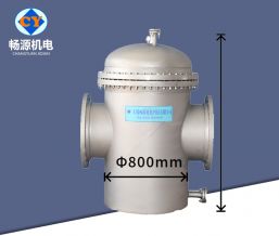 800篮式过滤器  